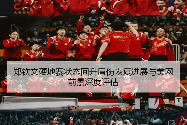 郑钦文硬地赛状态回升肩伤恢复进展与美网前景深度评估